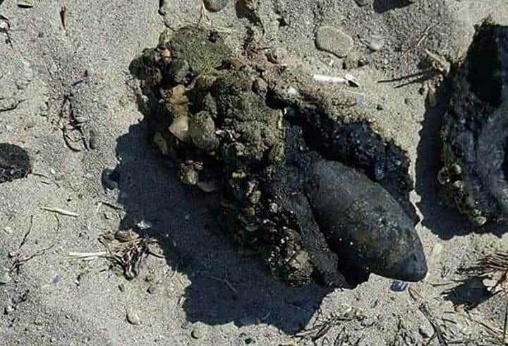 Çanakkale'de halk plajında patlamamış top mermisi bulundu