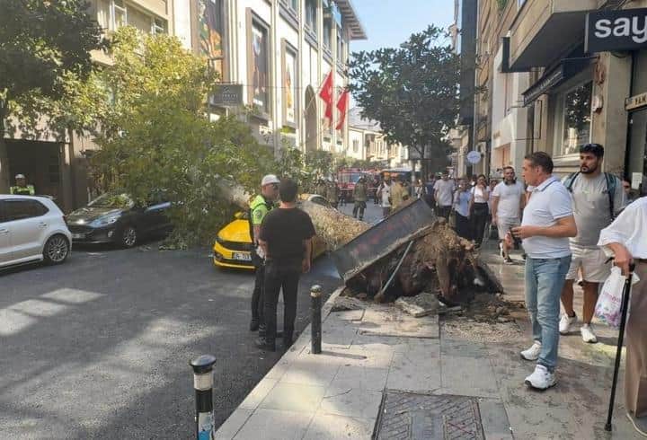 Şişli’de ağaç devrildi: Yol trafiğe kapandı