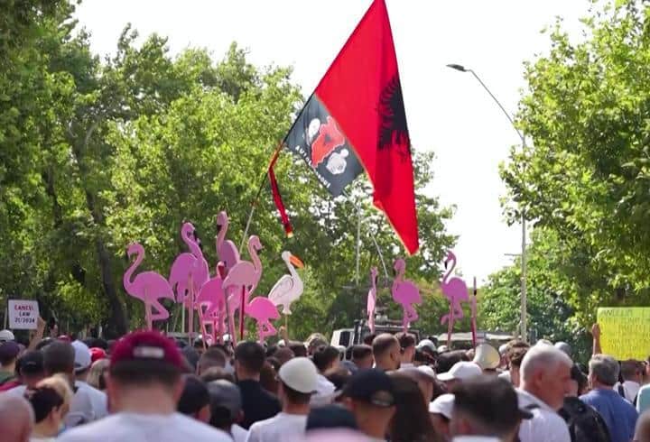 Arnavutluk'ta “Flamingo Devrimi”: Trump ailesinin projesine öfke