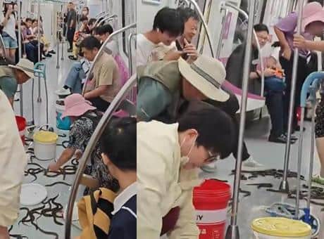 Metro yolculuğu kabusa döndü! Onlarca yılan vagonu bastı