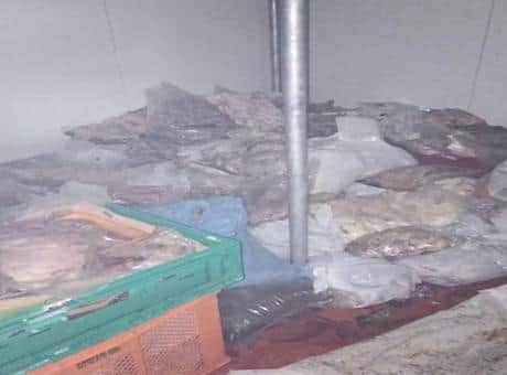Bodrum’da kötü koku ekipleri harekete geçirdi! 400 kilo bozuk ete el konuldu