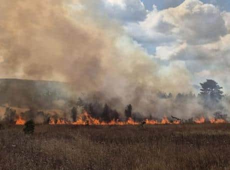 Bursa'da tarım arazisinde çıkan yangın söndürülmeye çalışılıyor