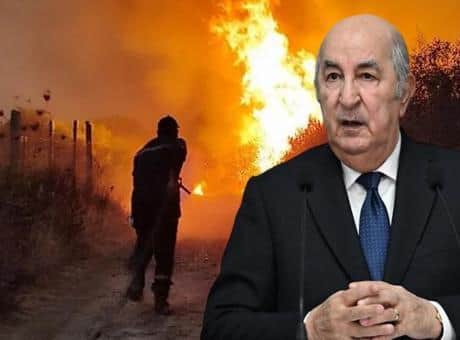 Cezayir'de orman yangınları için idam kararı! Cumhurbaşkanı Tebbun talimatı verdi