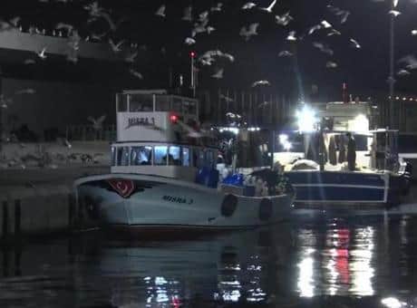İstanbul’da av yasağı bitti ve ilk balıklar bu gece avlandı İstanbul’da av yasağı bitti ve ilk balıklar bu gece avlandı