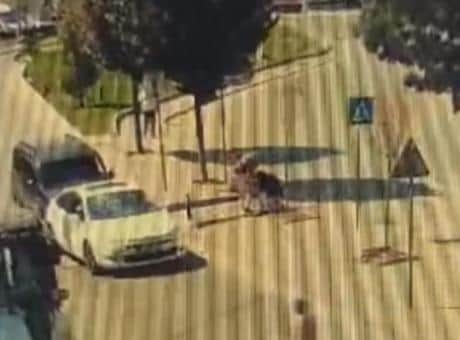 Zeytinburnu'nda yayayı darbeden trafik magandası yakalandı