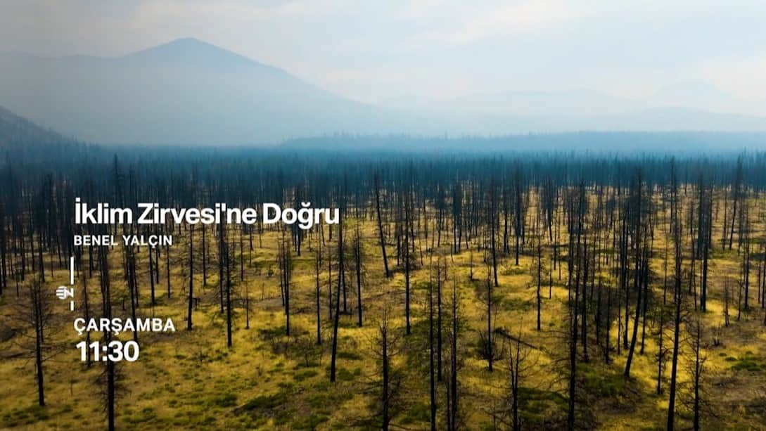 İklim Zirvesi'ne doğru: Türkiye COP31’e hazırlanıyor