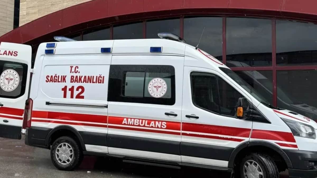 Kastamonu’da üzerine ağaç devrilen kişi can verdi