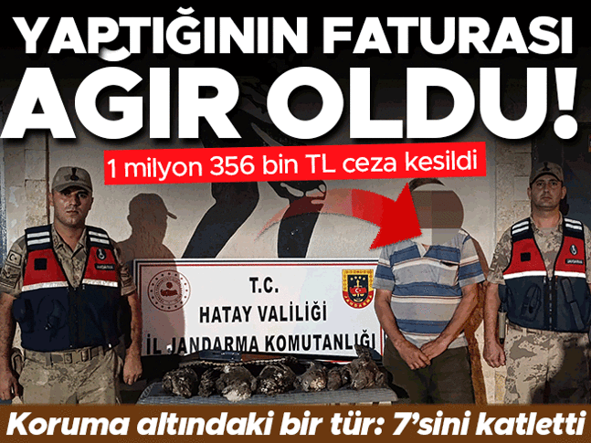 Vurduğu kuşlar koruma altındaydı | Yaptığının faturası ağır oldu: 1 milyon 356 bin TL ceza kesildi