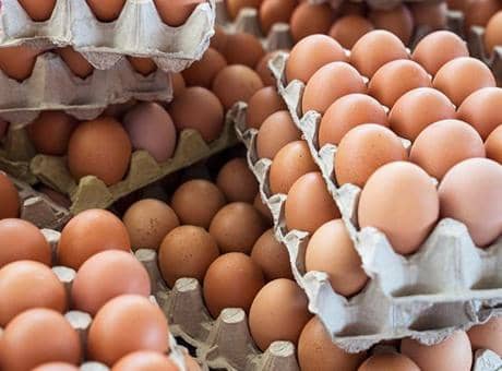 Ülkede yeni salgın! Yumurtalara dikkat: '207 vaka tespit edildi'
