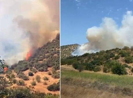 Balıkesir'de orman yangını! Havadan karadan müdahale