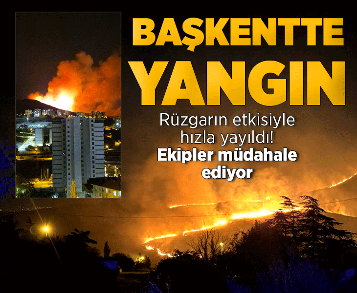 Ankara Mamak'ta ağaçlık alanda yangın! Ekipler müdahale ediyor