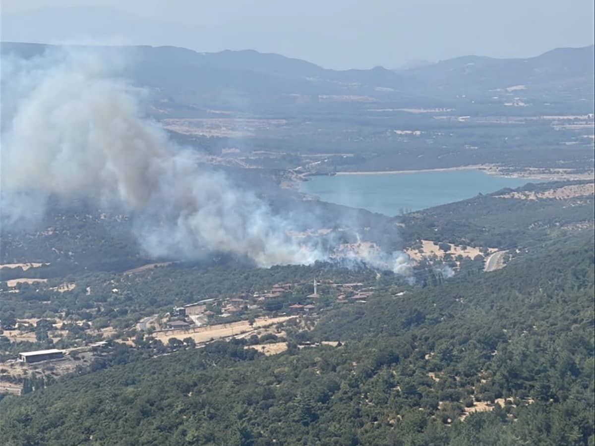Çanakkale'de tarım arazisi ve merada yangın