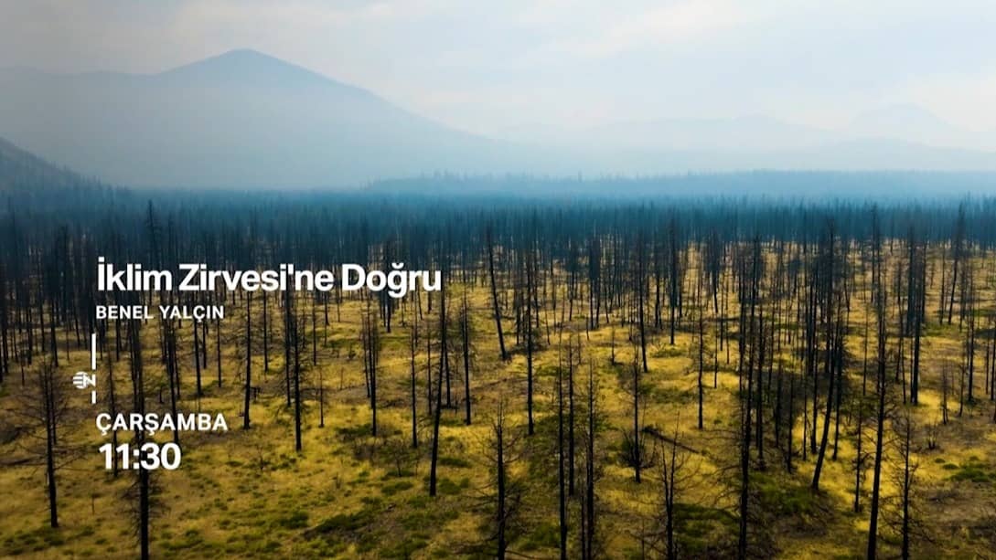 İklim Zirvesi'ne doğru: Türkiye COP31’e hazırlanıyor