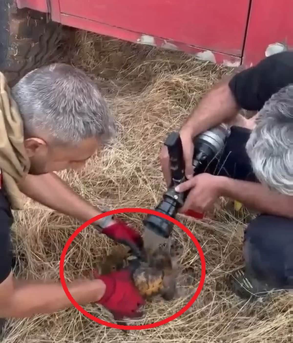 Lice kırsalında örtü yangını Lice kırsalında örtü yangını