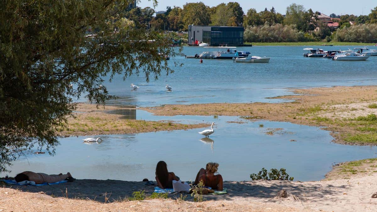 Belgrad'da kuraklık Tuna Nehri'ni kuruttu Belgrad'da kuraklık Tuna Nehri'ni kuruttu