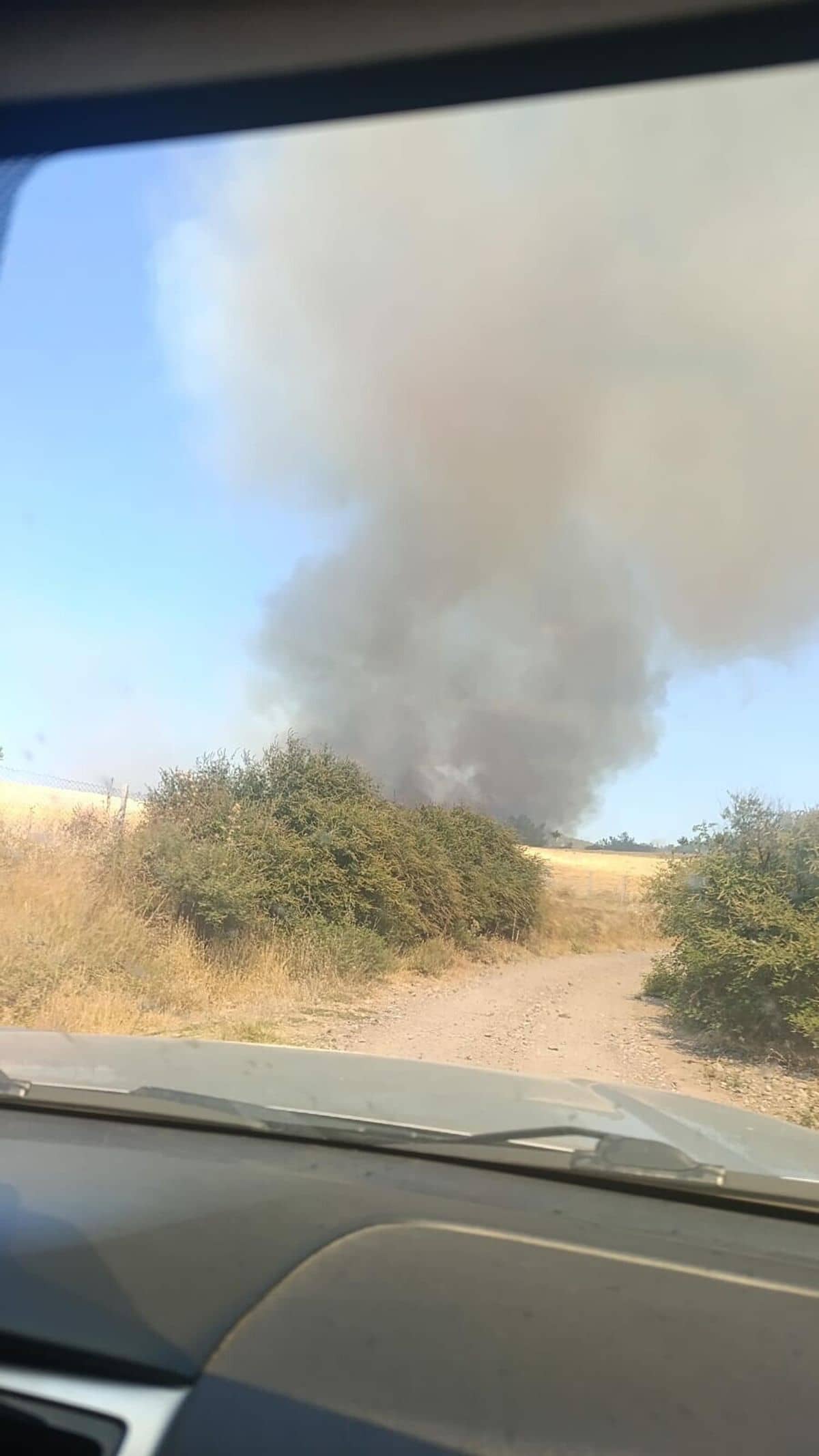 Çanakkale'de orman yangını Çanakkale'de orman yangını