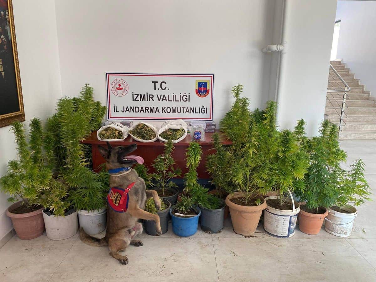 İzmir’de Jandarmadan uyuşturucu operasyonu: 8 kilo 339 gram esrar ele geçirildi İzmir’de Jandarmadan uyuşturucu operasyonu: 8 kilo 339 gram esrar ele geçirildi