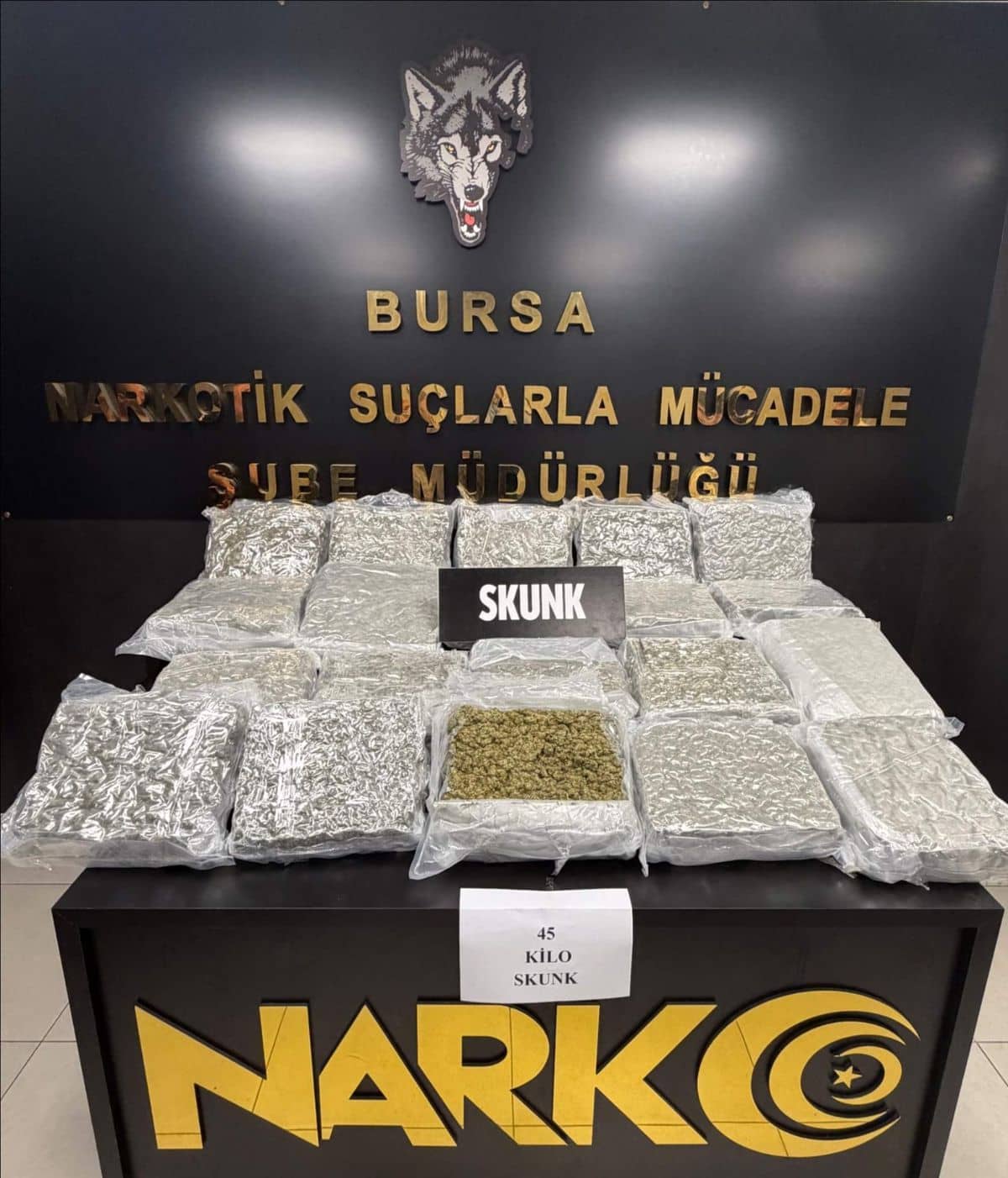 Bursa'da Evde 45 Kilogram Esrar Ele Geçirildi: Zanlı Tutuklandı Bursa'da Evde 45 Kilogram Esrar Ele Geçirildi: Zanlı Tutuklandı