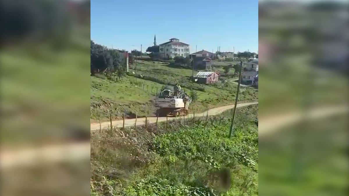 Ordu'da Maden Sondajı Hayvan Ölümlerine Yol Açtı İddiası Ordu'da Maden Sondajı Hayvan Ölümlerine Yol Açtı İddiası