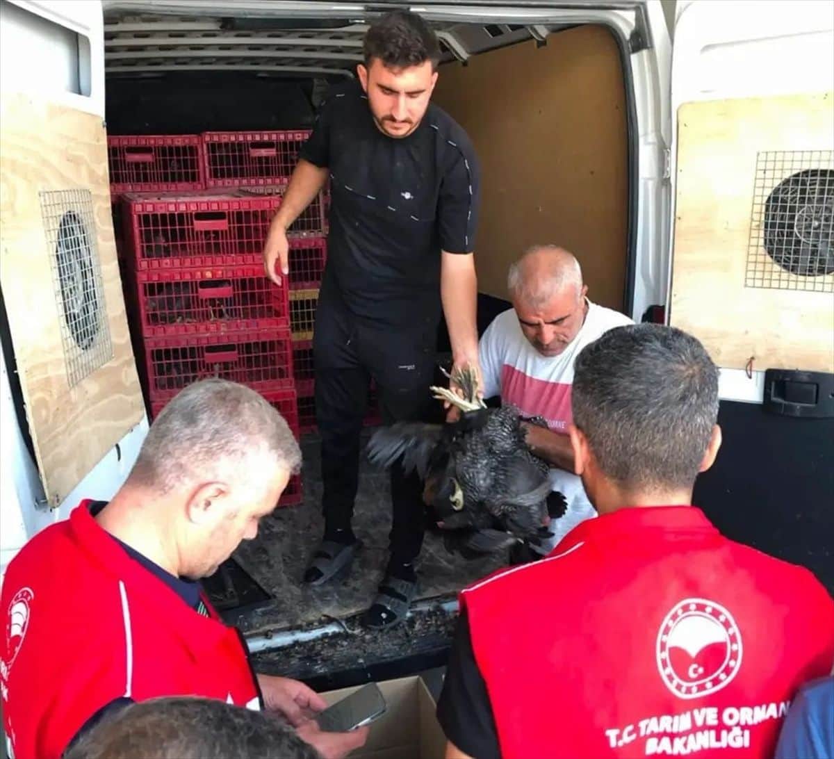 Adıyaman'da 20 aileye kümes hayvanı dağıtıldı Adıyaman'da 20 aileye kümes hayvanı dağıtıldı