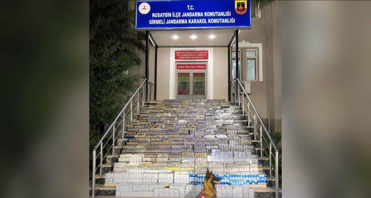 Nusaybin'de 2 Milyon Lira Değerinde Kaçak Sigara Ele Geçirildi Nusaybin'de 2 Milyon Lira Değerinde Kaçak Sigara Ele Geçirildi