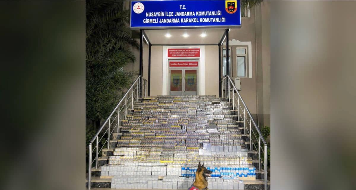 Nusaybin'de 2 Milyon Lira Değerinde Kaçak Sigara Ele Geçirildi Nusaybin'de 2 Milyon Lira Değerinde Kaçak Sigara Ele Geçirildi