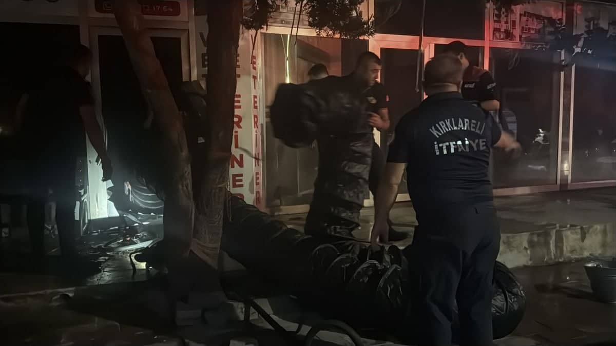 Kırklareli'nde Veteriner Kliniğinde Yangın: Hayvanlar Kurtarıldı Kırklareli'nde Veteriner Kliniğinde Yangın: Hayvanlar Kurtarıldı