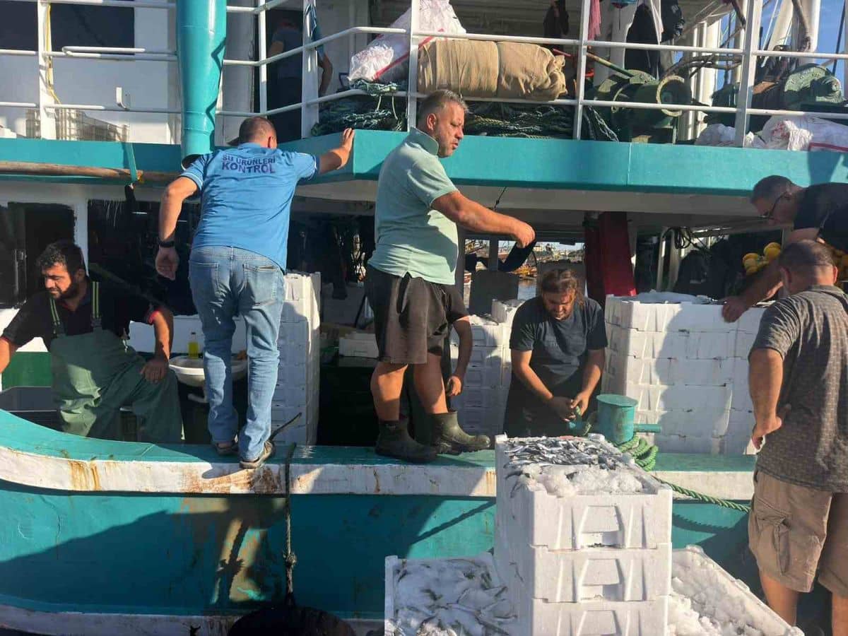 Hamsi avında kota dönemi başladı, denetimler sürüyor Hamsi avında kota dönemi başladı, denetimler sürüyor