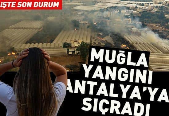 Alevler Muğla’dan Antalya’ya sıçradı: Orman yangınların son durum Alevler Muğla’dan Antalya’ya sıçradı: Orman yangınların son durum