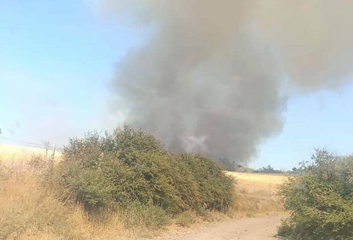 SON DAKİKA... Çanakkale'de orman yangını SON DAKİKA... Çanakkale'de orman yangını