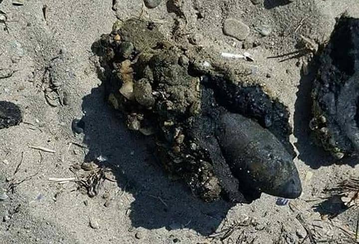 Çanakkale'de halk plajında patlamamış top mermisi bulundu Çanakkale'de halk plajında patlamamış top mermisi bulundu