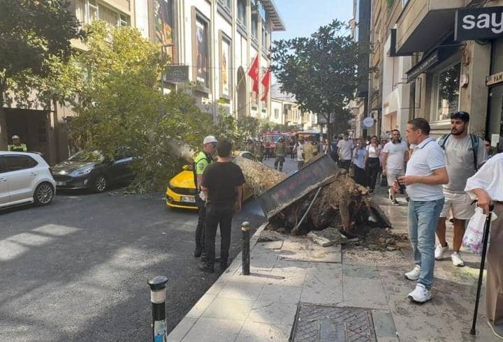 Şişli’de ağaç devrildi: Yol trafiğe kapandı Şişli’de ağaç devrildi: Yol trafiğe kapandı