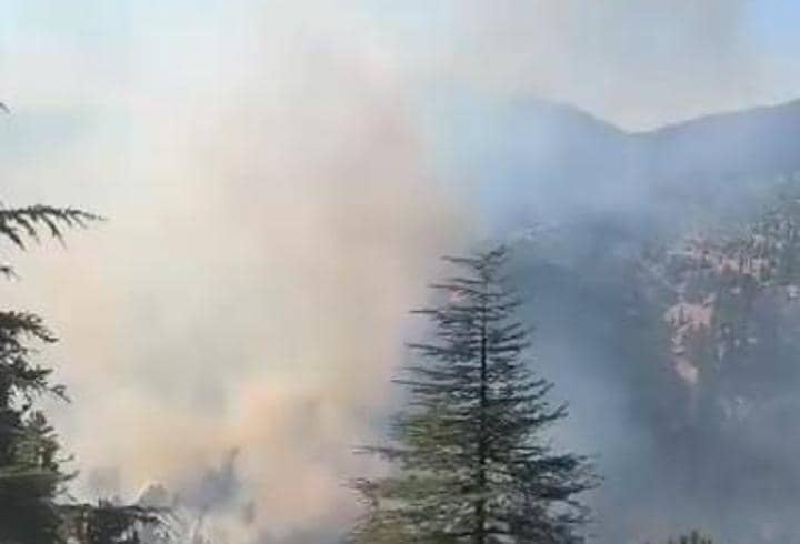 Adana'da 2 farklı bölgede orman yangını Adana'da 2 farklı bölgede orman yangını