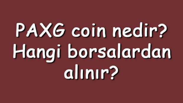 PAXG coin nedir? Hangi borsalardan alınır? PAX Gold ne zaman çıktı? Ne iş yapar? PAXG coin nedir? Hangi borsalardan alınır? PAX Gold ne zaman çıktı? Ne iş yapar?
