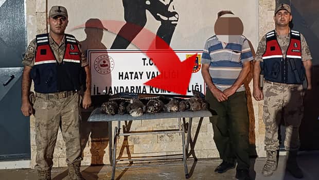 Vurduğu kuşlar koruma altındaydı | Yaptığının faturası ağır oldu: 1 milyon 356 bin TL ceza kesildi Vurduğu kuşlar koruma altındaydı | Yaptığının faturası ağır oldu: 1 milyon 356 bin TL ceza kesildi