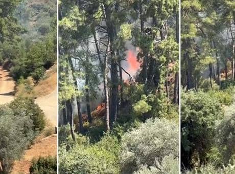 Muğla Fethiye'de orman yangını çıktı Muğla Fethiye'de orman yangını çıktı