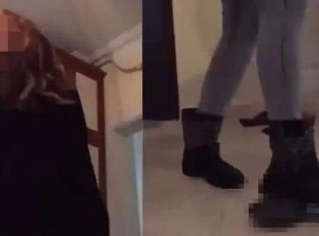 15 yıl önceki kaplumbağayı ezdiği görüntüler sonra ortaya çıktı gözaltına alındı 15 yıl önceki kaplumbağayı ezdiği görüntüler sonra ortaya çıktı gözaltına alındı