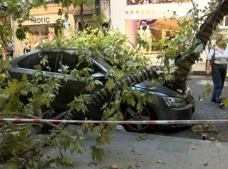 Nişantaşı’nda çınar ağacı taksinin üzerine devrildi! Teşvikiye Caddesi trafiğe kapandı Nişantaşı’nda çınar ağacı taksinin üzerine devrildi! Teşvikiye Caddesi trafiğe kapandı