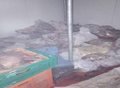 Bodrum’da kötü koku ekipleri harekete geçirdi! 400 kilo bozuk ete el konuldu Bodrum’da kötü koku ekipleri harekete geçirdi! 400 kilo bozuk ete el konuldu