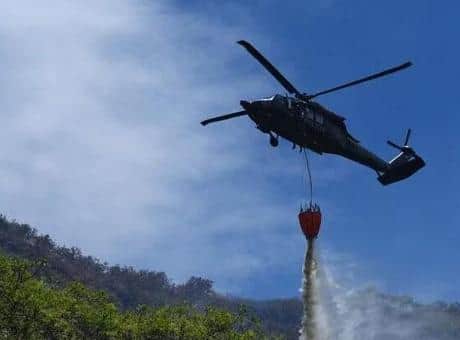 Kolombiya'da orman yangınları nedeniyle 'kamusal acil durum' ilan edildi Kolombiya'da orman yangınları nedeniyle 'kamusal acil durum' ilan edildi