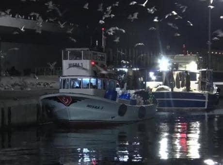 İstanbul’da av yasağı bitti ve ilk balıklar bu gece avlandı İstanbul’da av yasağı bitti ve ilk balıklar bu gece avlandı