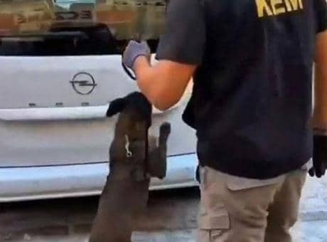 Balıkesir’de 109 bin adet sentetik ecza hapı ele geçirildi Balıkesir’de 109 bin adet sentetik ecza hapı ele geçirildi