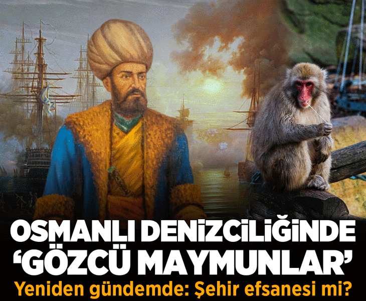 Osmanlı donanmasında 'maymun gözcüler' detayı! 'Topa tutulmuş maymuna dönmek' deyiminin öyküsü Osmanlı donanmasında 'maymun gözcüler' detayı! 'Topa tutulmuş maymuna dönmek' deyiminin öyküsü
