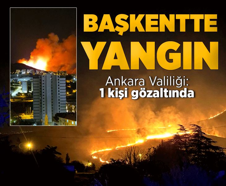 Ankara Mamak'ta ağaçlık alanda yangın! Ekipler müdahale ediyor Ankara Mamak'ta ağaçlık alanda yangın! Ekipler müdahale ediyor