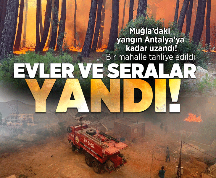 Muğla'daki yangın Antalya'ya kadar uzandı! Bir mahalle tahliye edildi, evler ve seralar yandı Muğla'daki yangın Antalya'ya kadar uzandı! Bir mahalle tahliye edildi, evler ve seralar yandı