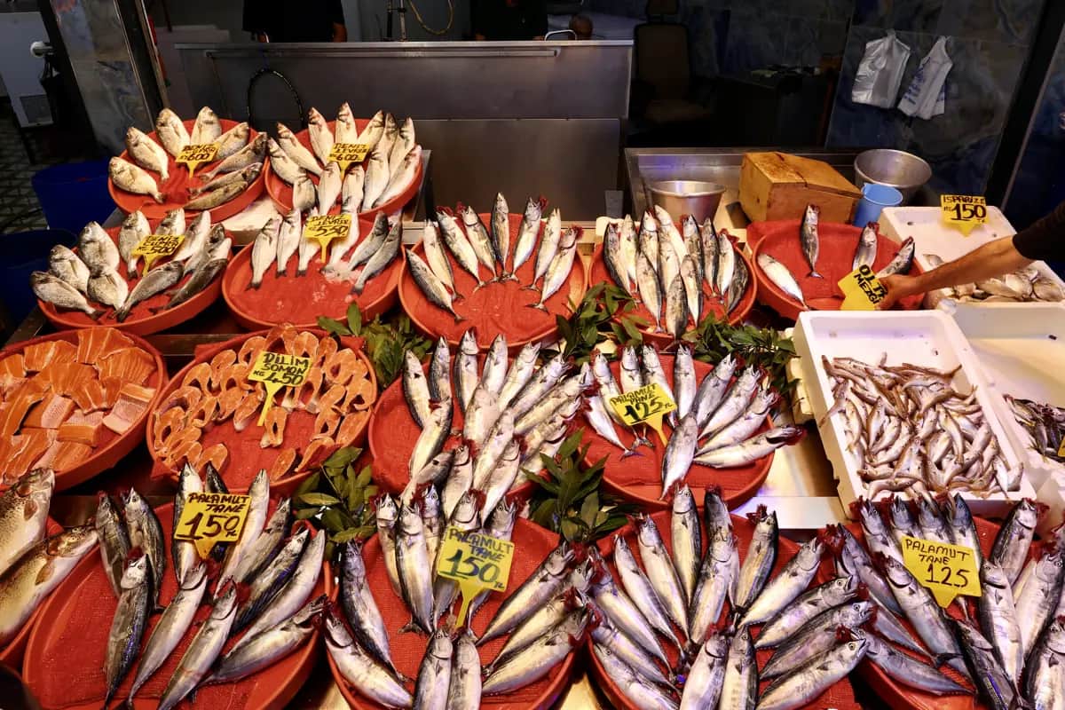 Balık avı sezonu başladı. İşte ilk fiyatlar Balık avı sezonu başladı. İşte ilk fiyatlar