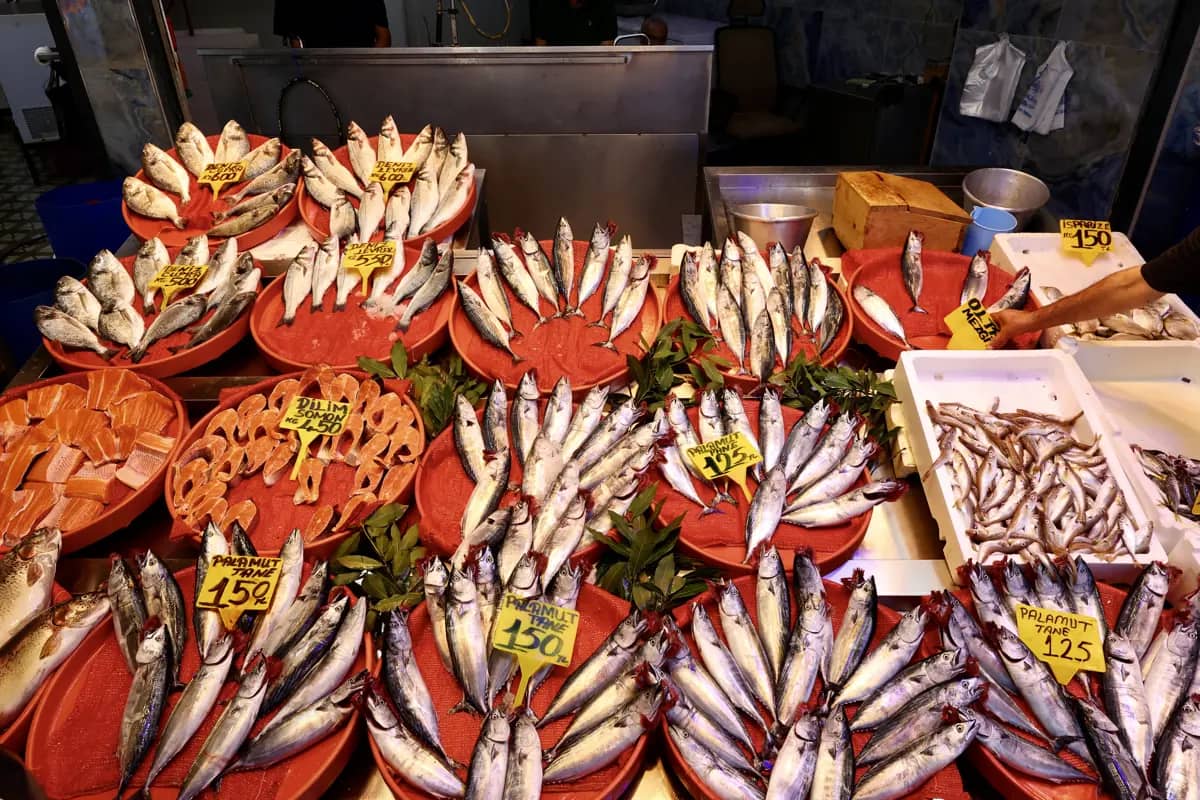 Balık avı sezonu başladı. İşte ilk fiyatlar Balık avı sezonu başladı. İşte ilk fiyatlar