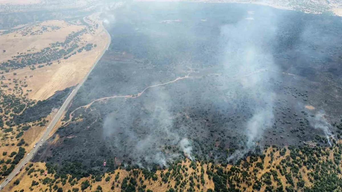 Elazığ'da orman yangını. Ekipler müdahale ediyor Elazığ'da orman yangını. Ekipler müdahale ediyor