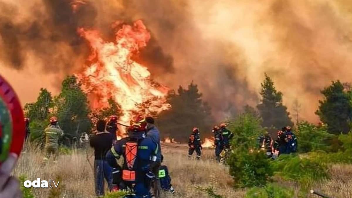 Yunanistan’ın Salamina Adası’ndaki orman yangınında yaşlı çift hayatını kaybetti Yunanistan’ın Salamina Adası’ndaki orman yangınında yaşlı çift hayatını kaybetti