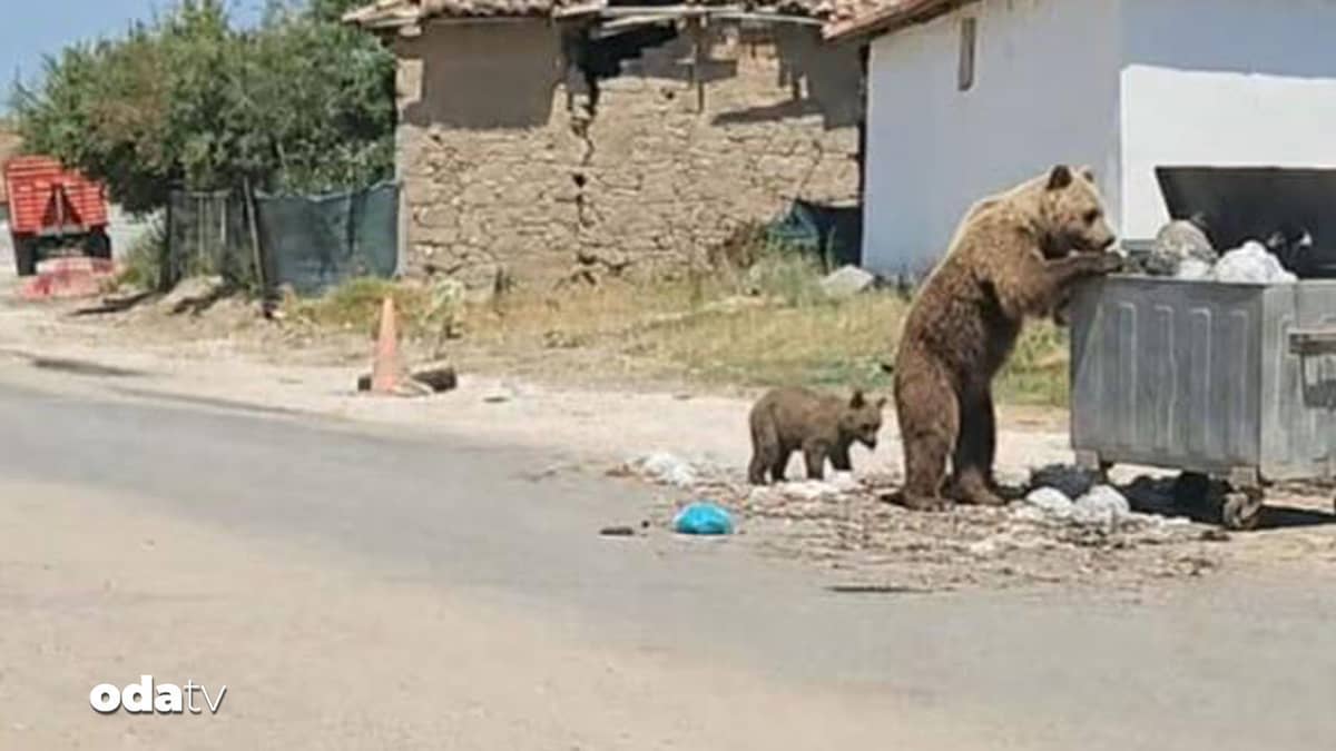 Bozayı Meriç'in köylerini geziyor Bozayı Meriç'in köylerini geziyor